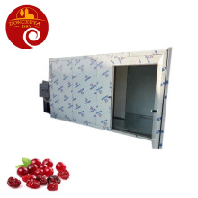Air Energy Cherry Dryer Heat Pump Cherry Drying Machine